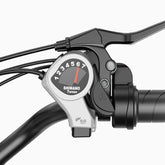 Heybike Cityscape E-Bike  - Motor 250W Battery 36V10AH 26 Inch Wheels Mechanical Disc Brakes - Blue